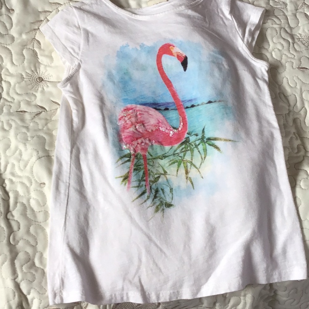 T-shirt                Smoke and pets free home